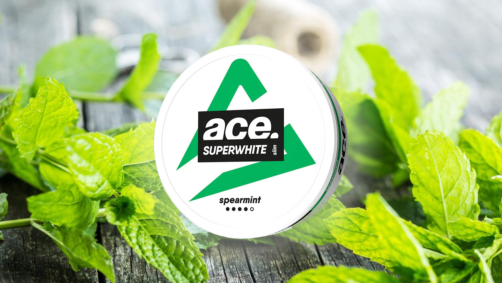 Elevate Your Nicotine Experience with ACE Spearmint Nicotine Pouches